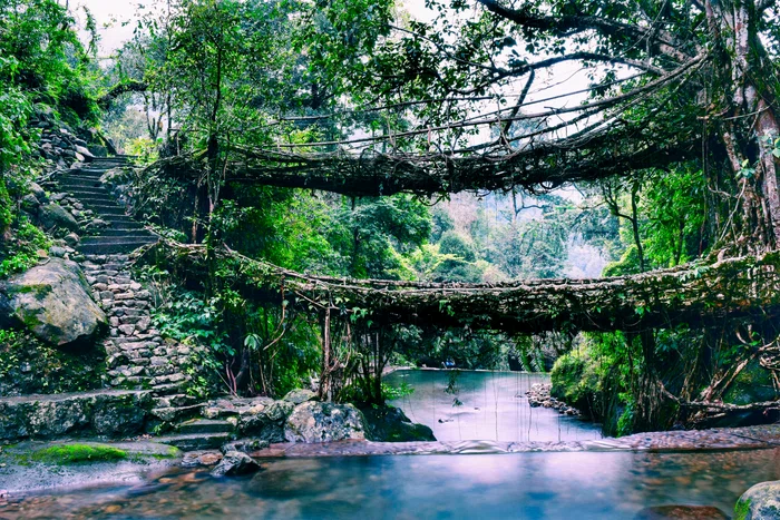 1 shutterstock 634408664 jpg jpeg