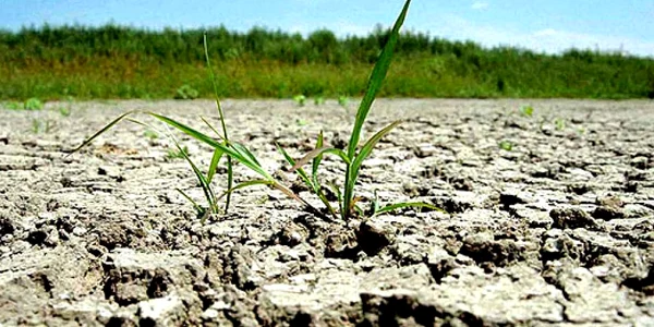 Seceta a afectat producția fermierilor