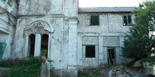 un copac distruge pereţii zidului