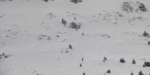 bucegi
