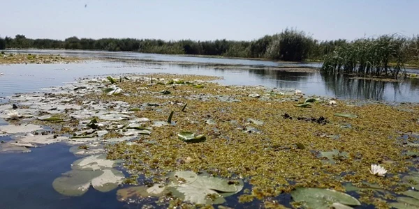 Delta Dunarii trasee turistice