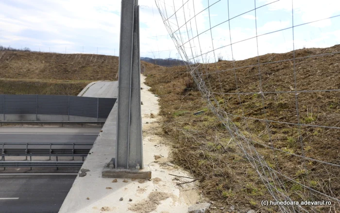 ecoductele de la holdea pe autostrada a1 foto daniel guta adevarul