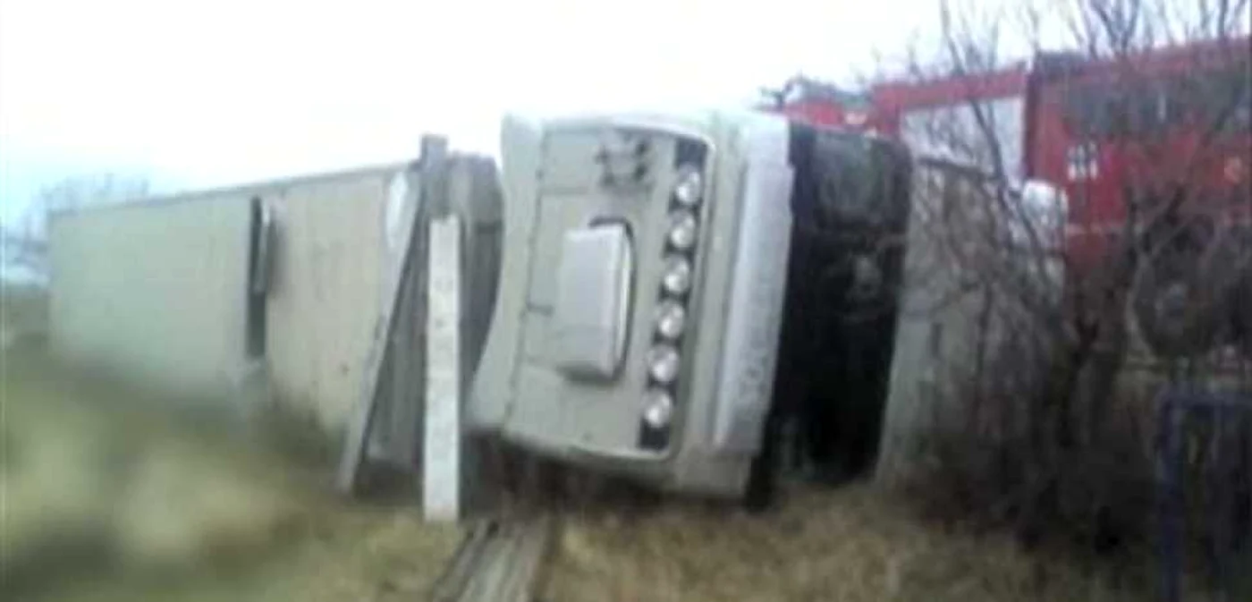 În urma accidentului sute de animale au murit
