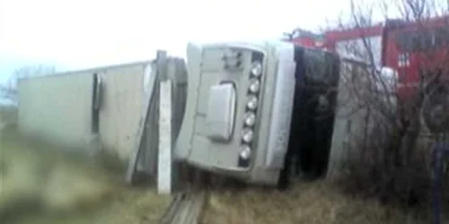 În urma accidentului sute de animale au murit