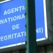 incompatibilitate ani