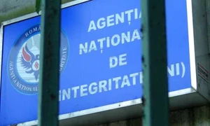 incompatibilitate ani