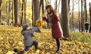 horoscop zilnic 16 noiembrie gemeni jpeg