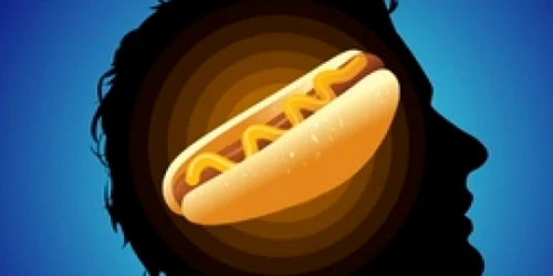 Studiile au fost focalizate pe efectele insulinei asupra hipotalamusului, o regiune cerebrală care controlează comportamentul alimentar