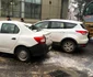 Copac prăbuşit peste maşini în centrul Constanţei Sursa Răzvan Căvescu