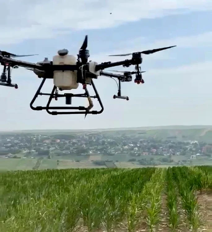 Dronele pot împrăştia eficient erbicide şi îngrăşăminte. Foto: DAJ Botoşani