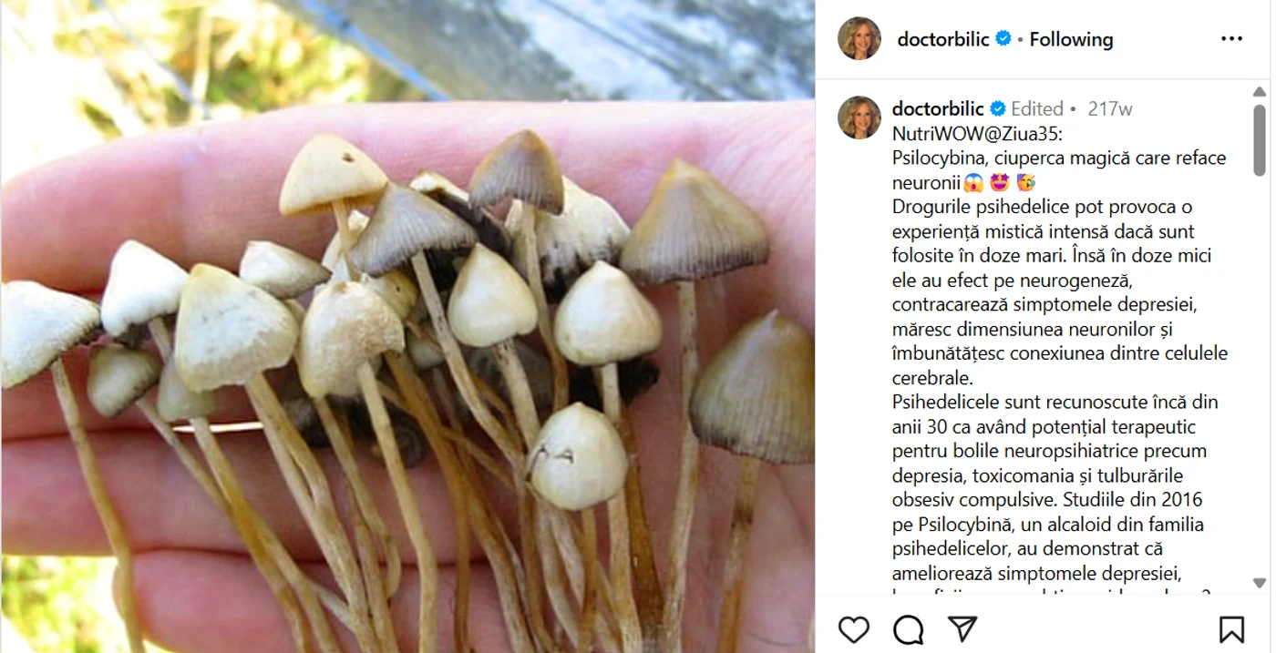 Postarea Mihaelei Bilic - Foto: captură Instagram