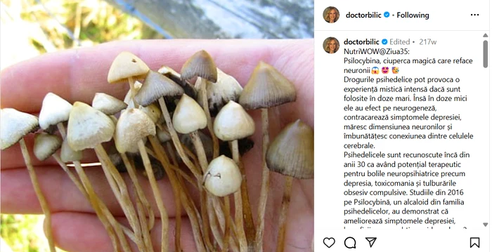 Postarea Mihaelei Bilic - Foto: captură Instagram