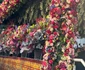 Credincioșii speră să primească ajutor din partea sfintei