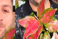 planta png