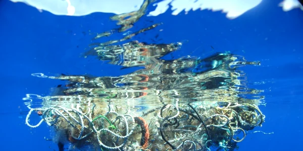 garbage patch