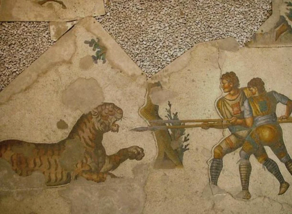 Doi ”venatores” luptând cu un tigru FOTO ancient-origins.net
