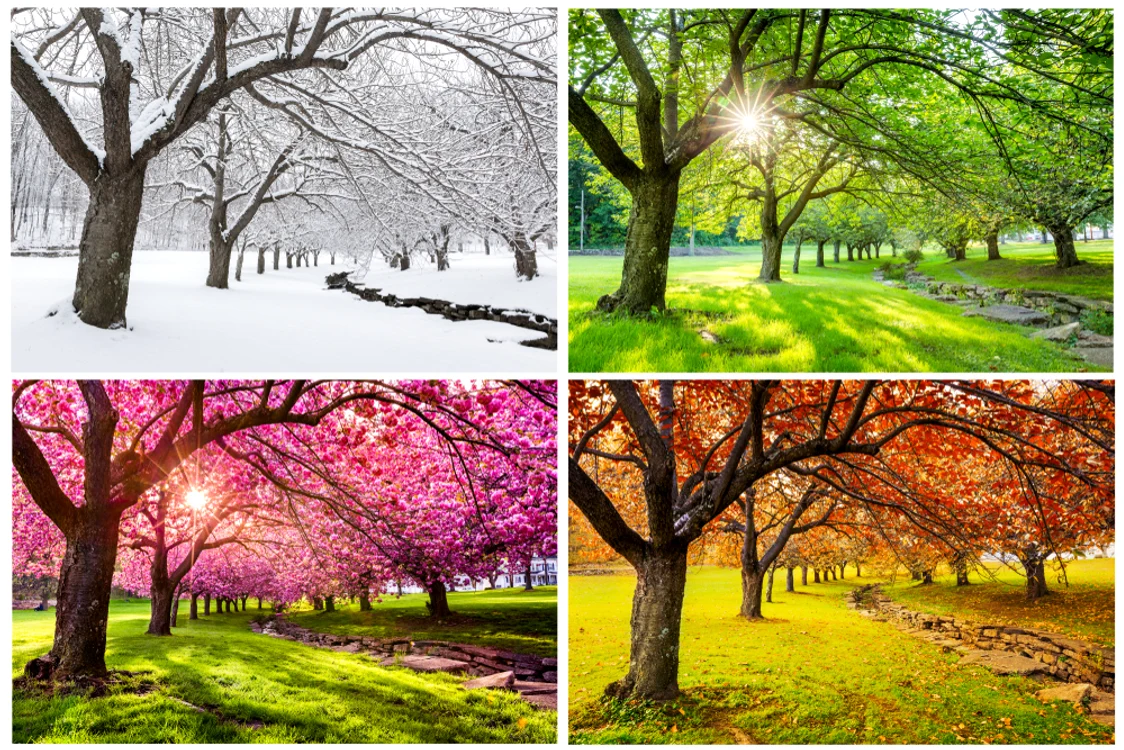 1 shutterstock 1005731746 jpg jpeg