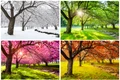 1 shutterstock 1005731746 jpg jpeg