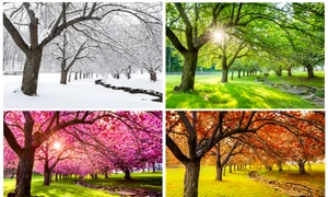 1 shutterstock 1005731746 jpg jpeg