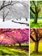 1 shutterstock 1005731746 jpg jpeg