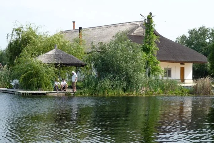
    Relaxare pe braţele Deltei Dunării  