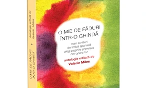 O mie de păduri într o ghindă, Urban Fest, Noaptea Institutelor Culturale jpeg