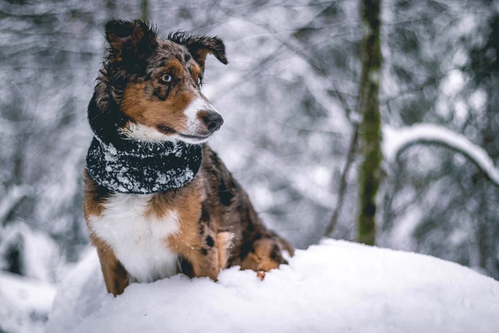 foto: Unsplash