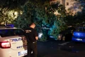 furtuna copaci politie id174770 inquam photos bogdan ioan buda jpeg