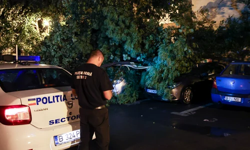 furtuna copaci politie id174770 inquam photos bogdan ioan buda jpeg