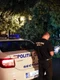 furtuna copaci politie id174770 inquam photos bogdan ioan buda jpeg