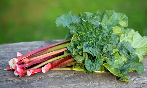 1 shutterstock 121019575 jpg jpeg