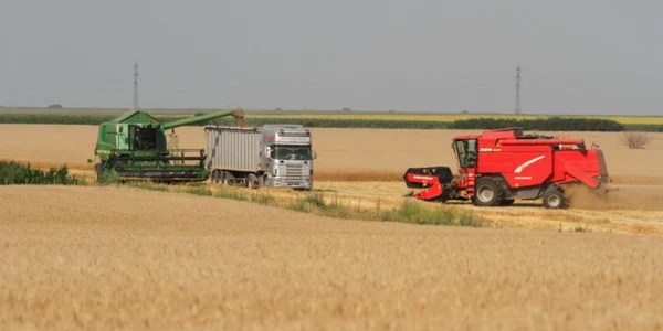 teren agricol digi24.ro