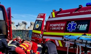 image 750x500 629cfe124f55d jpg