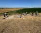 Săpături arheologice în situl de la Glina-Bălăceanca (© Muzeul Municipiului București)