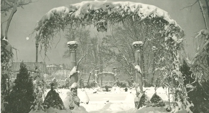 Arhivele Naționale ale României Colecția Documente Fotografice