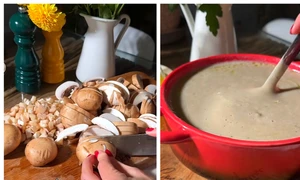 BeFunky collage 2025 12 10T224409 191 jpg