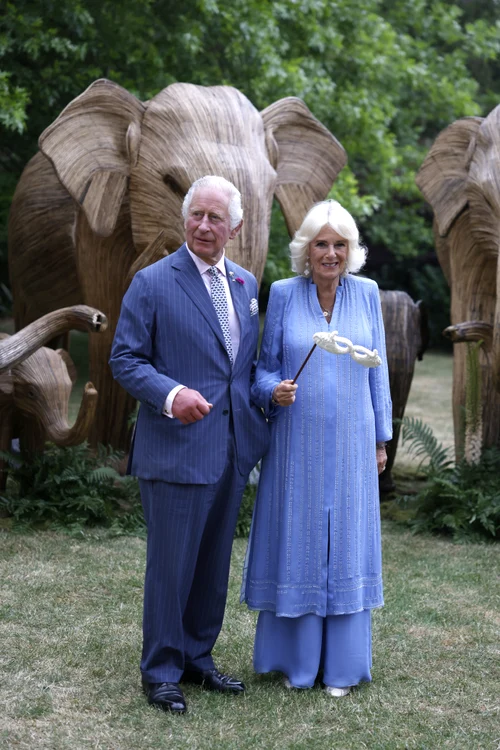 Regele Charles și Regina Camilla la Balul Animalelor, Foto Getty (6) jpg
