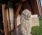 Biserica reformată din Geoagiu Foto Daniel Guță (5) jpg