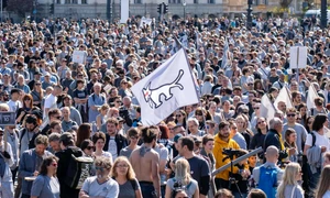 cainele cu doua cozi jpg