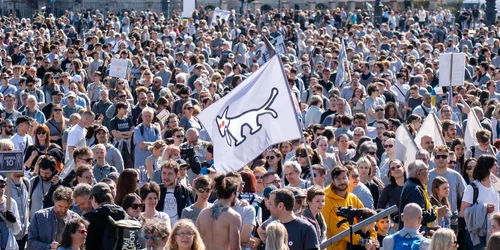 cainele cu doua cozi jpg