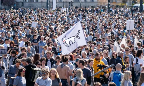 cainele cu doua cozi jpg