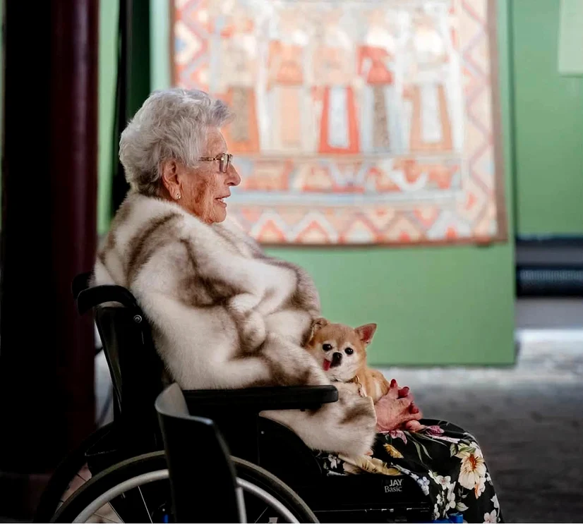 „Mica prințesă” Wilma.