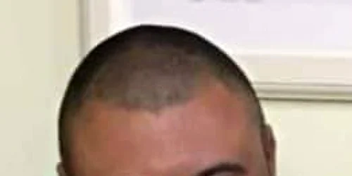 alin ionita amenda bradu