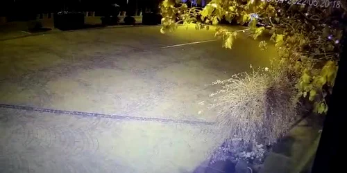 6262651e5163ec4271a27a50 jpg