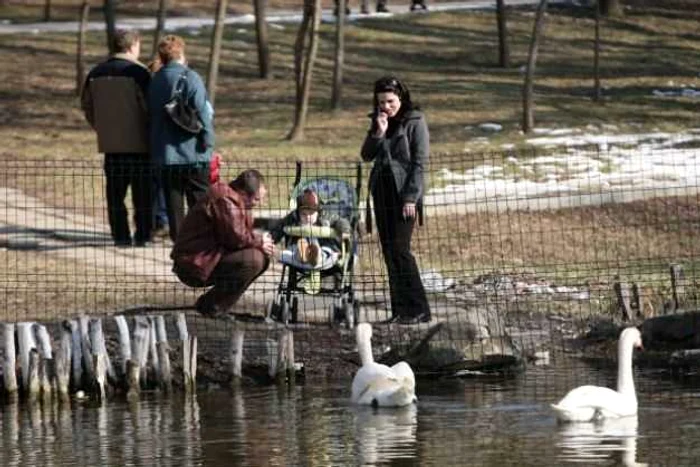 Parcul Nicolae Romanescu va intra într-un proces amplu de modernizare