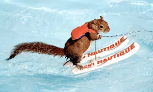 CLIIMA20100119 0076 1 jpeg