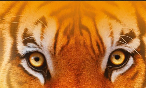 1 53835 original jpg jpeg