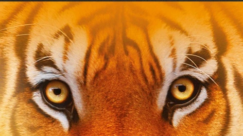 1 53835 original jpg jpeg