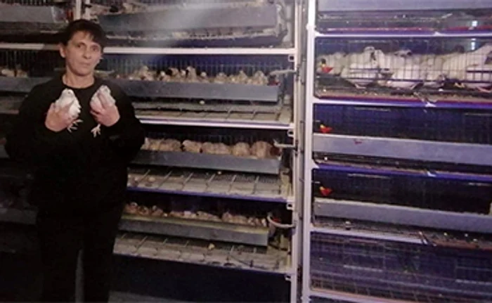 
    O delicatesă: carnea de prepeliţă  