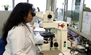 laboratory 2821207 1920 jpeg